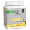 Sport Active Energy -285g (SUNWARRIOR) (Sunnwarrior pre Mango)