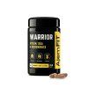 AjemFIT WARRIOR - 240 kapslí