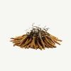 Transcended Cordyceps - 5g (Primal Alchemy)