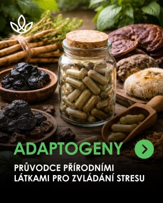 O adaptogenech jste u nás slyšeli už mnohokrát. 👀 Ale víte, co všechno se do této skupiny skutečně řadí? Nejsou to jen...
