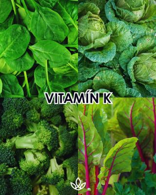 💚 Dopřejte svému tělu dostatek vitamínů. Každý vitamin má v organismu svou důležitou roli a pestrá strava je vždy tím...