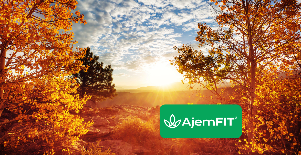 Jeseň bez poklesu energie: vitamín D, imunita a ako si udržať výkonnosť