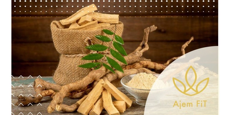 Tongkat Ali: Prírodný zázrak známy ako malajský ženšen