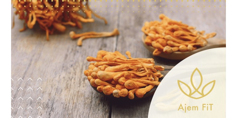 Cordyceps sinensis: Smrteľná huba s pozitívnymi účinkami