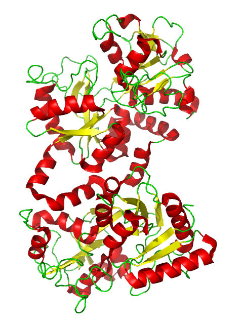 Laktoferin (LF) je glykoprotein vázající železo, který se nachází v mnoha tělesných tekutinách a v bílých krvinkách.