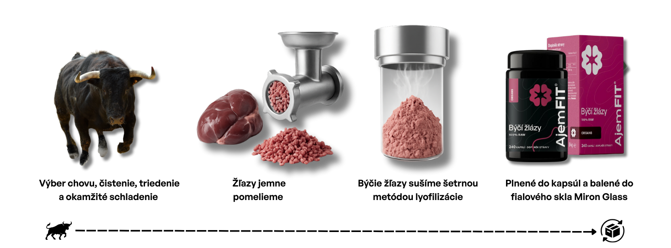 Proces sušenia býčích žliaz