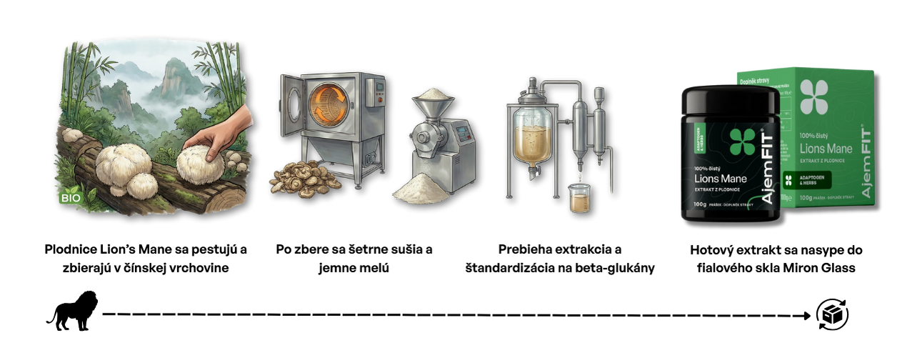 Proces výroby AjemFIT BIO Lion's Mane – prášok