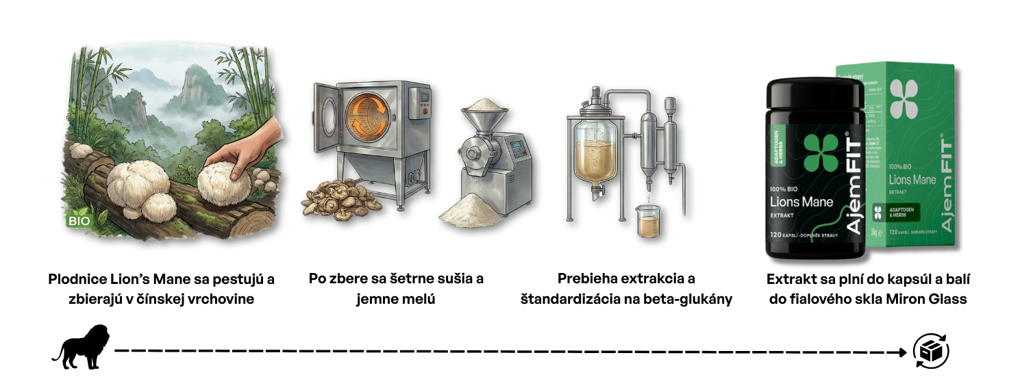 Proces výroby BIO Extraktu Lion's Mane