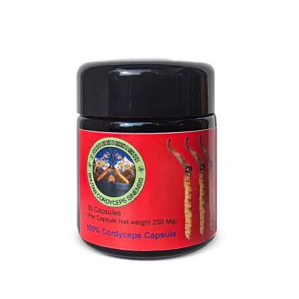Divoký Cordyceps Sinensis (Bhután) -30 kapslí