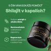 AjemFIT Shilajit Slnkem Sušený - 60 kapsúl
