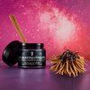 3949 transcended cordyceps 5g primal alchemy