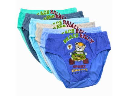 SET 6ks - Dětské bavlněné slipy C1033