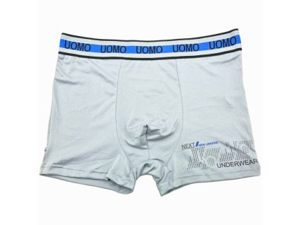 Pánské elastické boxer šortky šedé F0896