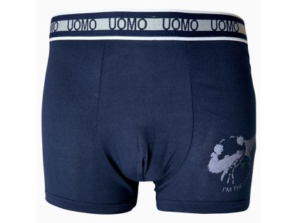 Pánské elastické boxer šortky modré F0893