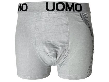 Pánské bavlněné boxer šortky šedé D3153