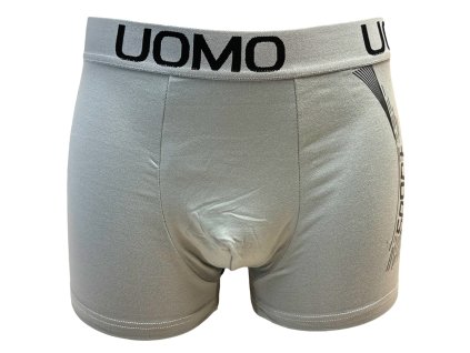 Pánské bavlněné boxer šortky šedé D5104