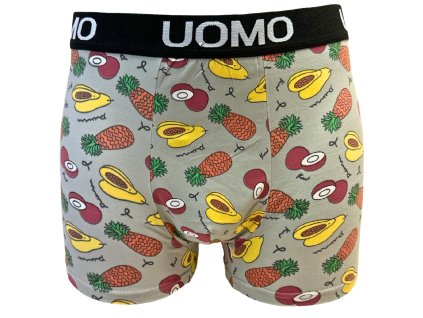 Pánské bavlněné boxer šortky šedé D5105