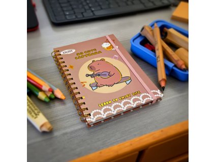 Kroužkový zápisník 22062-6.02