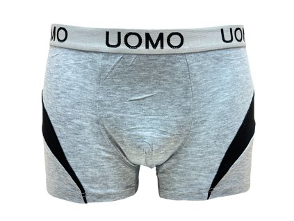 Pánské bavlněné boxer šortky šedé 6067
