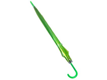 Průhledný deštník zelený 10140-1