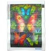 Diamantové malování - motýl 21010