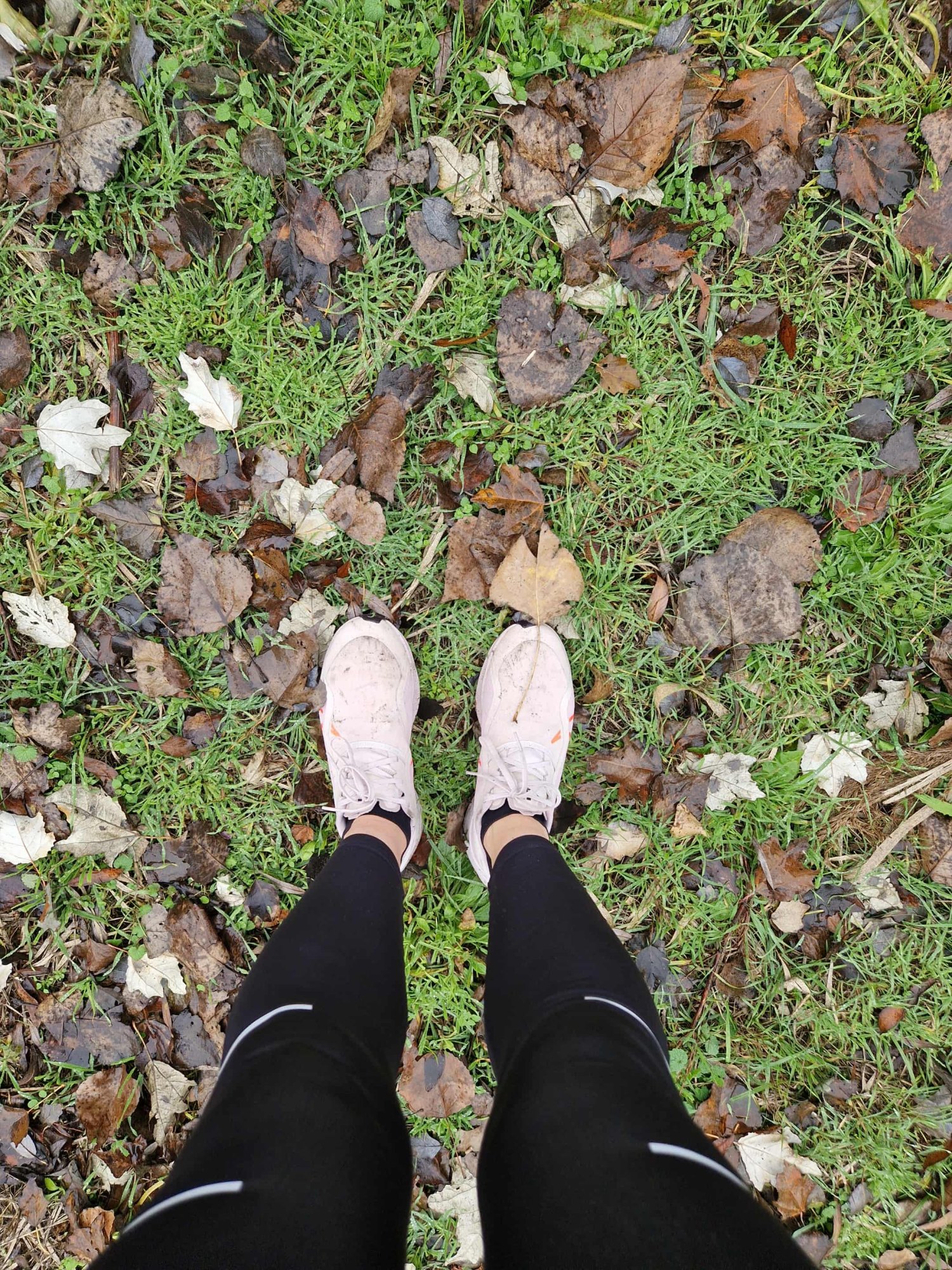 Keď sa deň rozbieha