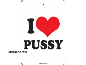 I LOVE PUSSY