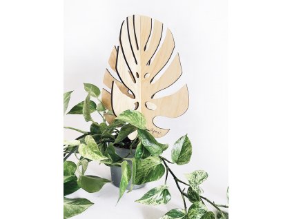 monstera 3d1