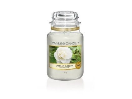 Yankee Candle Camellia Blossom Classic 623g