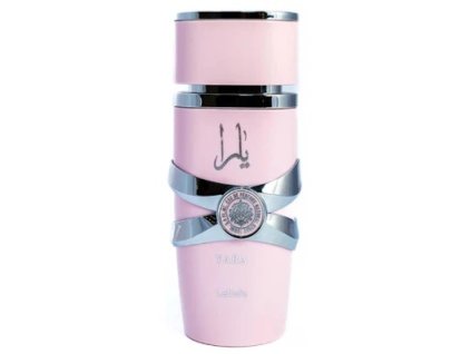 6291108730515 800x800