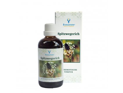 Skorocel Kopijovitý Tinktúra (100ml)