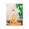 Mango, Koriander Sirup
