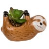 Dekoračný kvetináč s rastlinou - leňochod