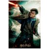 Harry Potter - 3D puzzle - Harry s prútikom - 300