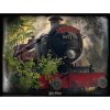 Harry Potter - 3D puzzle - vlak do Rokfortu - 500