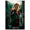 Harry Potter - 3D puzzle - Hermiona s prútikom - 300