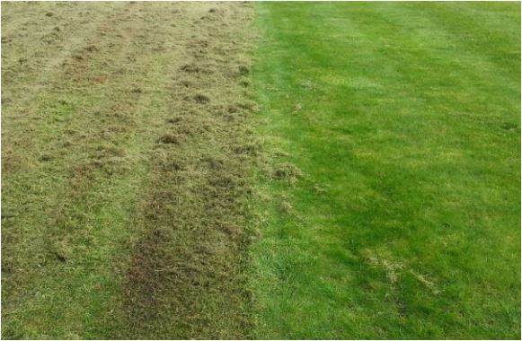 Päť dôvodov prečo prevzdušniť trávnik