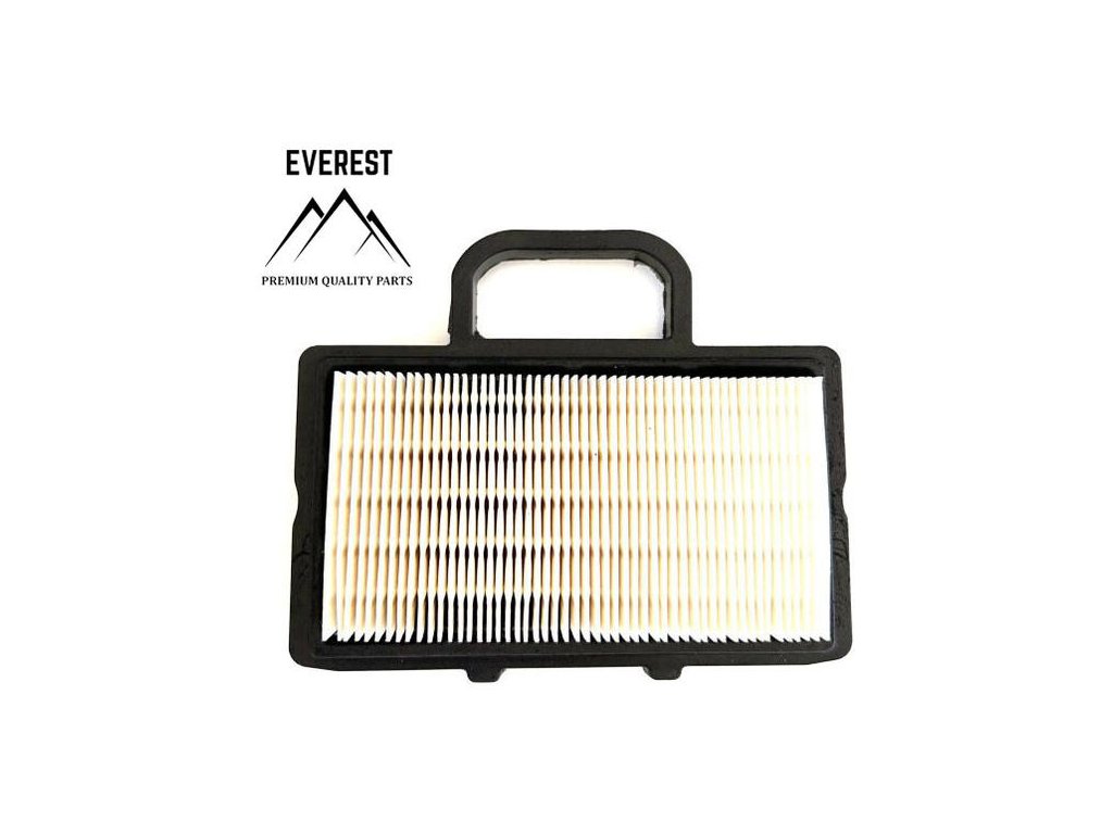 Vzduchový filter Briggs & Stratton 2 valce NOVÝ TYP, (792101) | ajtech.sk