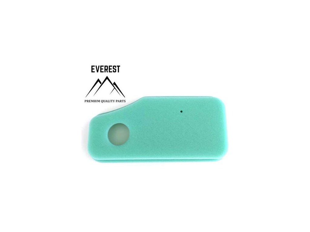 Vzduchový filter pre Briggs & Stratton 10HP-11HP 270843 | ajtech.sk