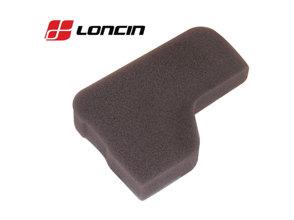 Vstupný filter LONCIN LC1P61FE, LC1P65FE, (180130251-000) | ajtech.sk