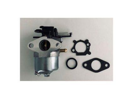 Karburátor motor kosačky Briggs & Stratton DOV (793493) | ajtech.sk