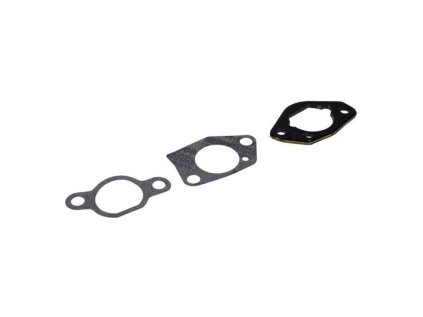 Sada tesnení karburátora pre kosačku STIGA SV 150 118550217/1 | ajtech.sk