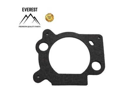 Tesnenie vzduchového filtra pre BRIGGS & STRATTON Intek | ajtech.sk