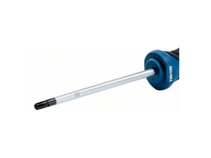Skrutkovač Bosch TX25 × 100 | ajtech.sk