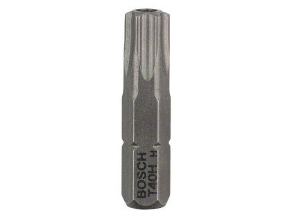 Bit Bosch Security-Torx T40H 25mm | ajtech.sk