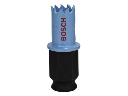 Bosch Dierová píla do plechov 17x20 mm 2608584779 | ajtech.sk