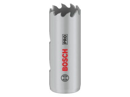 Dierovka Bosch PRO Multi 19 mm | ajtech.sk