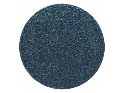 Bosch Brúsny papier Expert F550 pre vŕtačky, 115 mm, P24 (5ks) | ajtech.sk