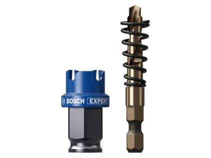 Bosch EXPERT Dierovka na plech 20 mm | ajtech.sk