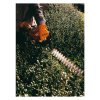 STIHL HS 45 Motorový plotostrih 45cm 42280112937 | ajtech.sk